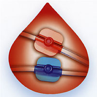 NiproSet Blood Tubing Medication Ports