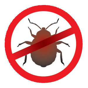 http://dialmedsupply.com/images/a2Images_web/bnr_BedBugs.jpg