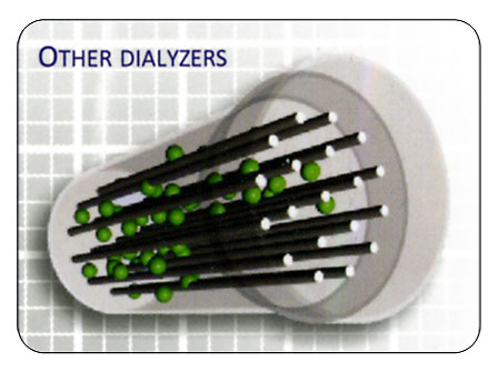 Other Dialyzer fibers